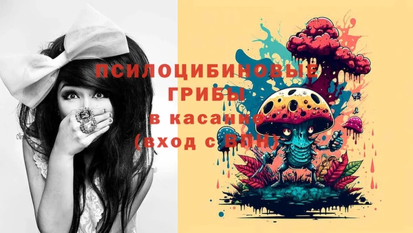 spice Баксан