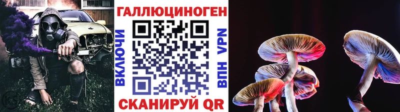 Галлюциногенные грибы Psilocybe Новый Уренгой