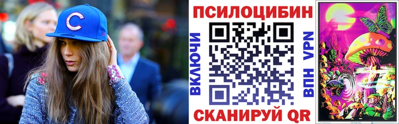 Псилоцибиновые грибы Cubensis  Новый Уренгой 