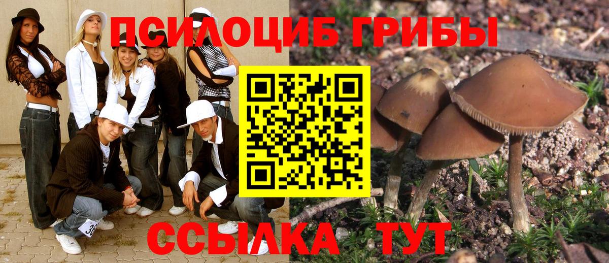 продажа наркотиков  Вход с VPN  Новый Уренгой  Галлюциногенные грибы прущие грибы 